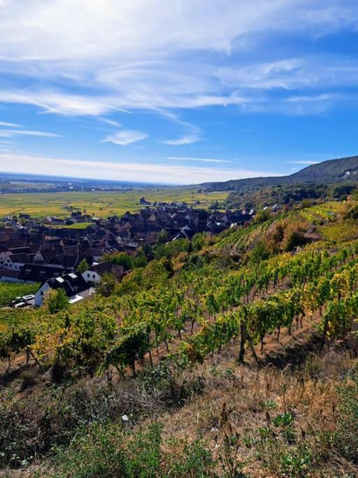 Entre Vignes Et Vergers Gite Parenthese Gueberschwihr Eksteriør billede